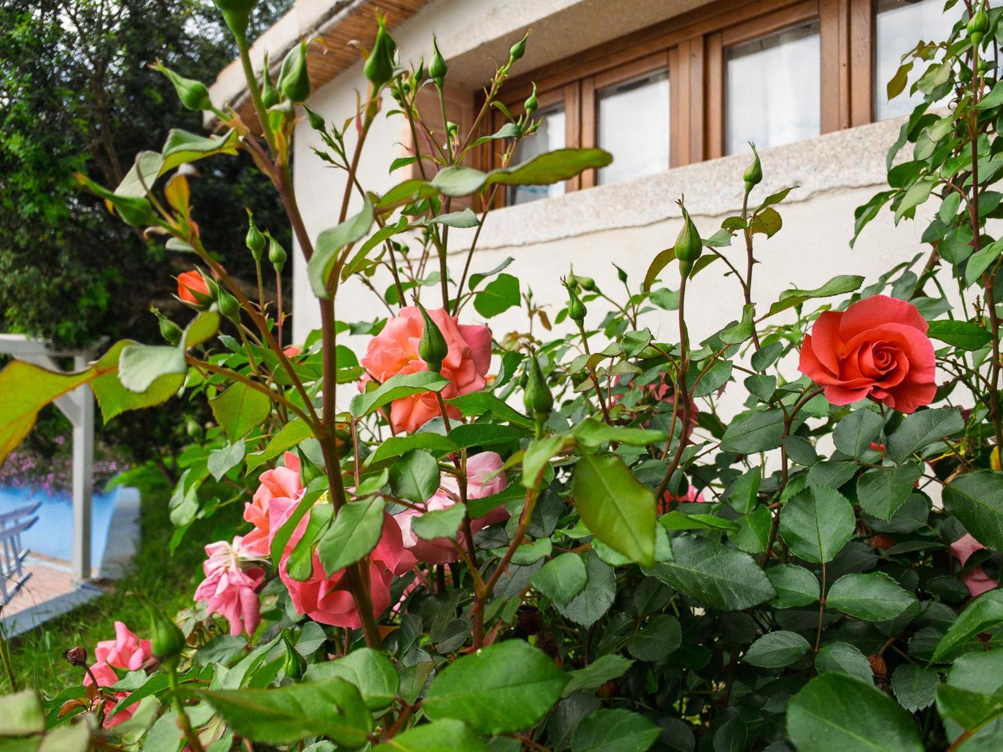 Agriturismo Guparza 波萨达 外观 照片