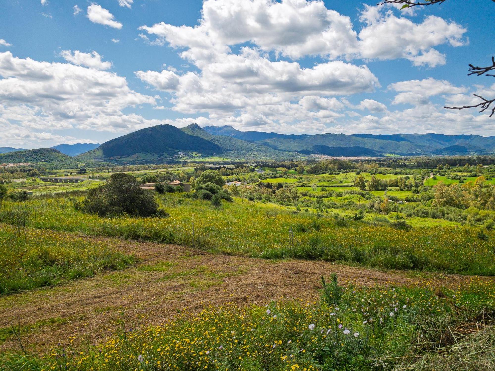 Agriturismo Guparza 波萨达 外观 照片