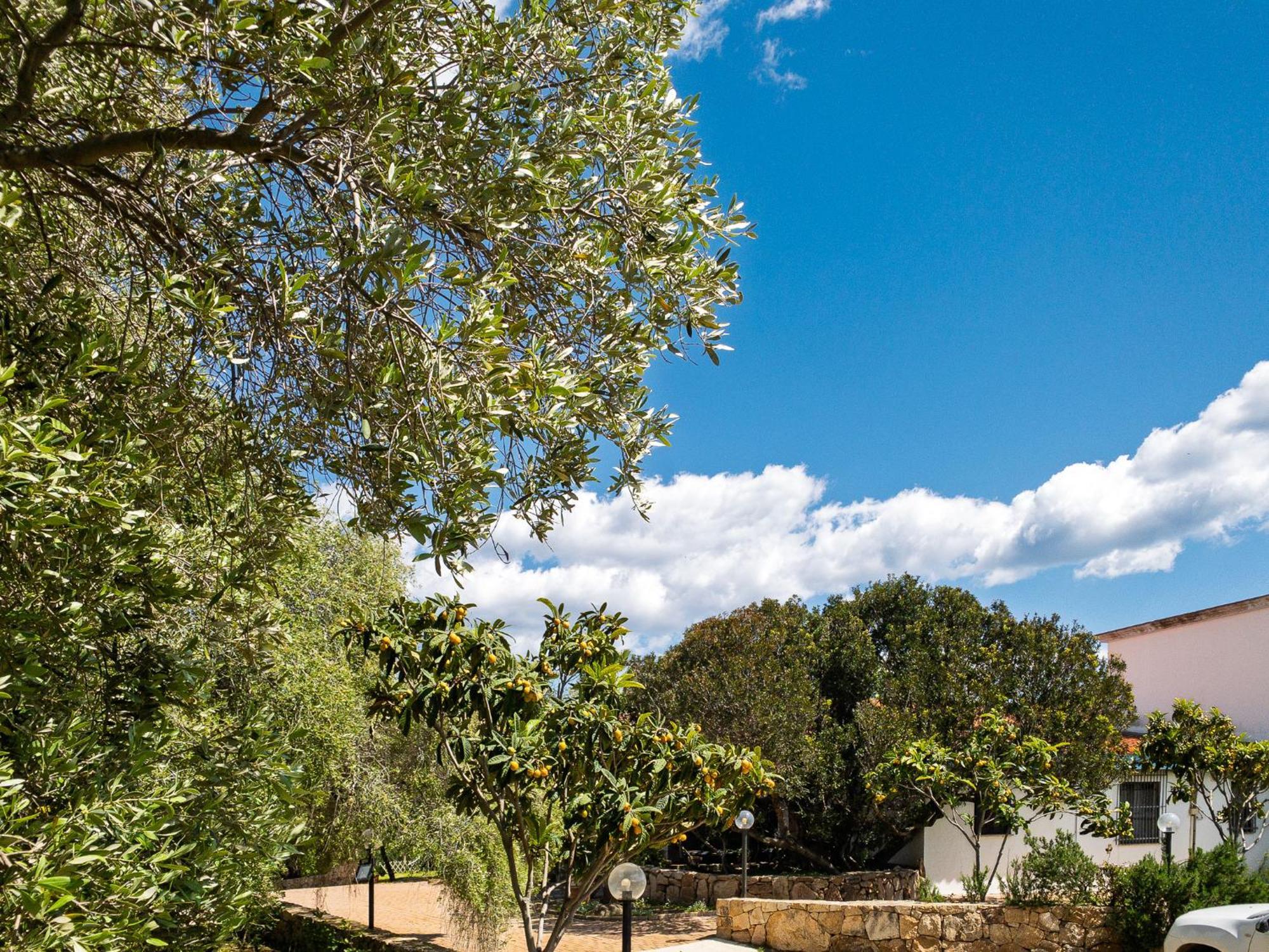 Agriturismo Guparza 波萨达 外观 照片