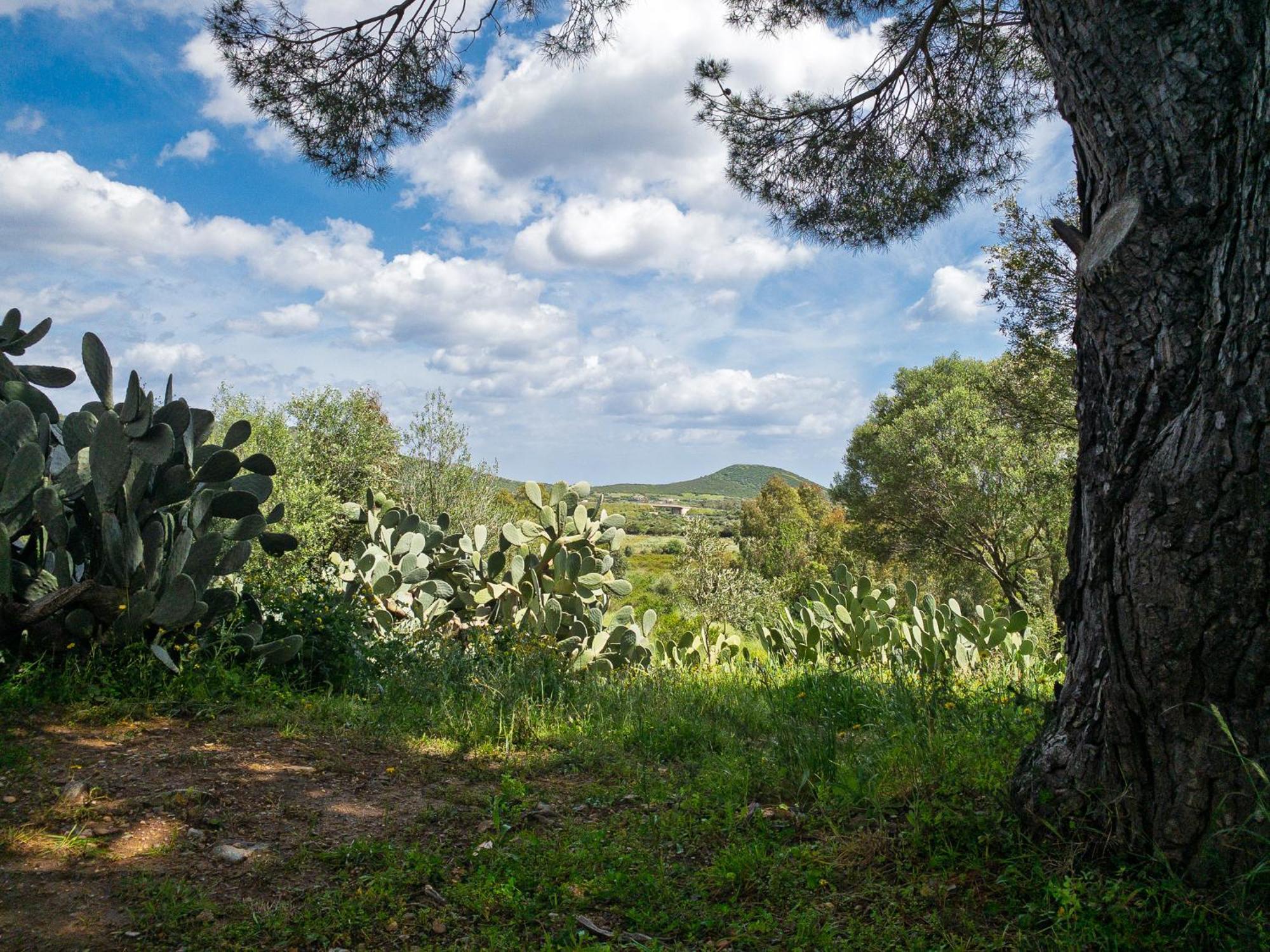Agriturismo Guparza 波萨达 外观 照片