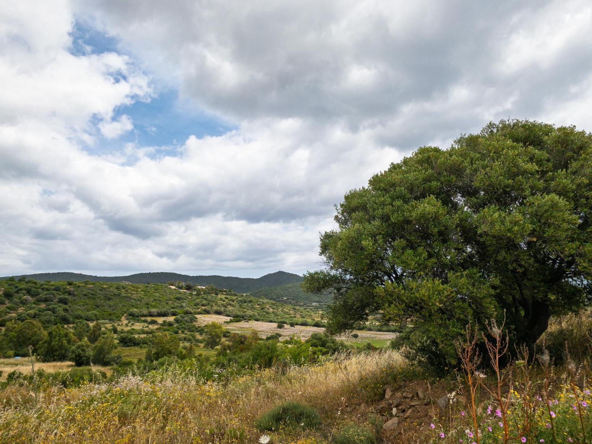 Agriturismo Guparza 波萨达 外观 照片
